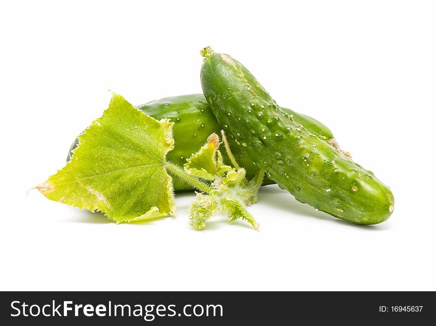 Ecological cucumbers isolated on white background