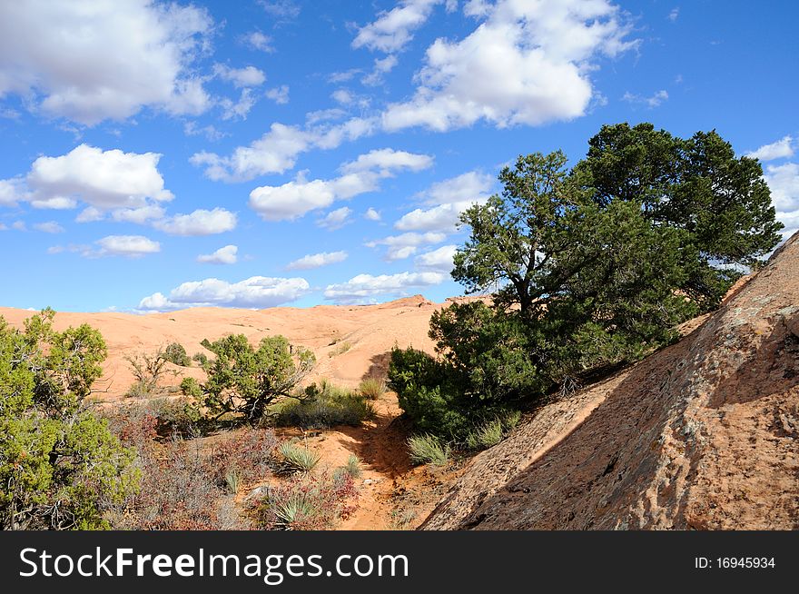 Sand Flats Recreation Area near Moab