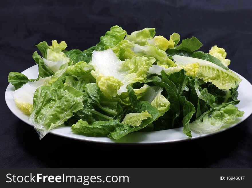 This is a fresh plucked green lettuce