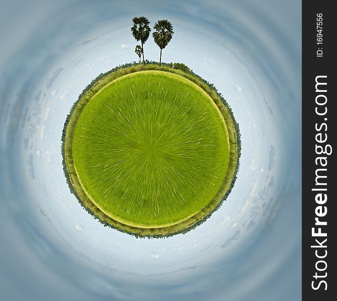 The circle image of rice field