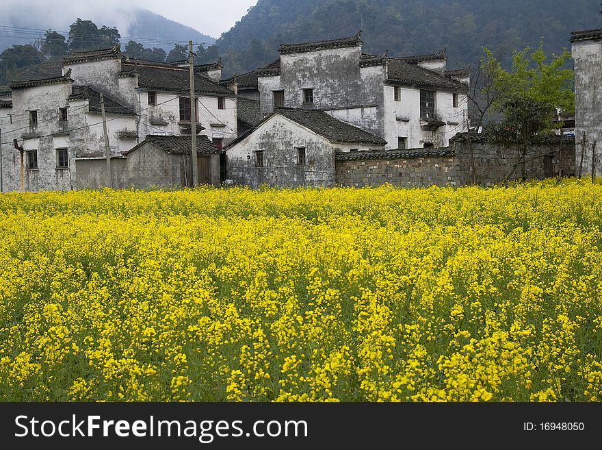 The chinese villages which surrounded by flower. The chinese villages which surrounded by flower