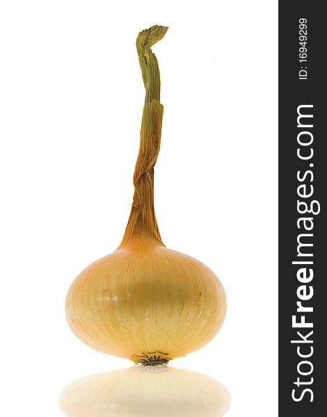 The ripened onions of yellowish color on a white background. The ripened onions of yellowish color on a white background