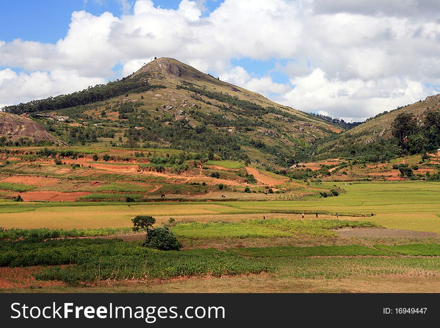 Rural area in central Madagascar with various farming, forest areas and village. Rural area in central Madagascar with various farming, forest areas and village