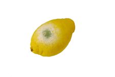 Rotten Lemon Stock Images Rotten Lemon Stock Images