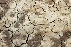 Parched Earth Indicating Drought Stock Photos
