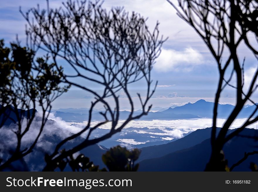 View of tropical south east asian rainforest (earth's lungs) among the clouds and distanced mountains. View of tropical south east asian rainforest (earth's lungs) among the clouds and distanced mountains.