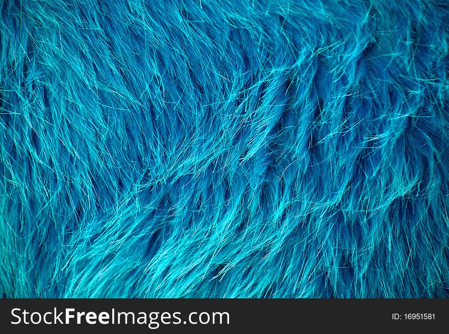 Photo of close up fur blue. Photo of close up fur blue