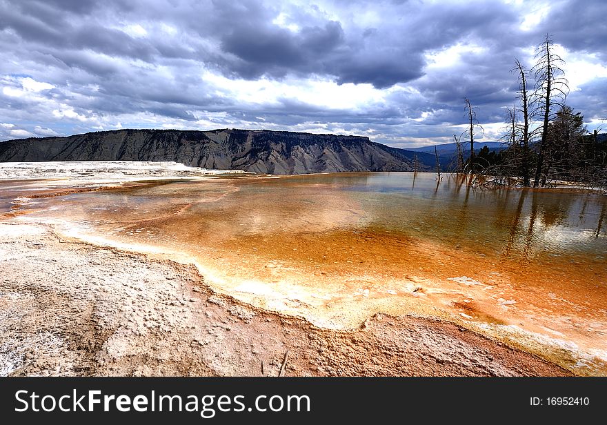 Mammoth hot springs in yellowstone 2010