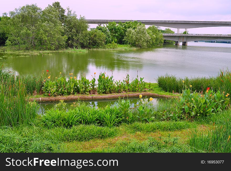 A river with floating garden and lush greenery