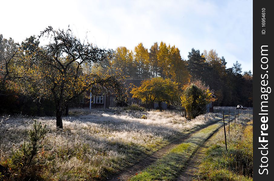 Frosty grass in front of house fall time in Sweden. Frosty grass in front of house fall time in Sweden