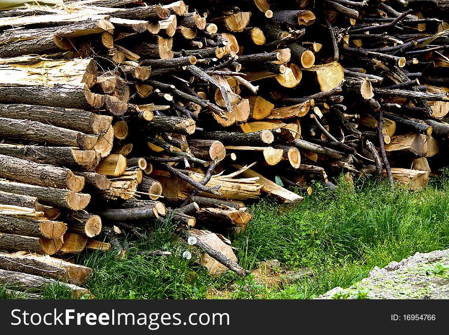 Close-up of a pile of wood.