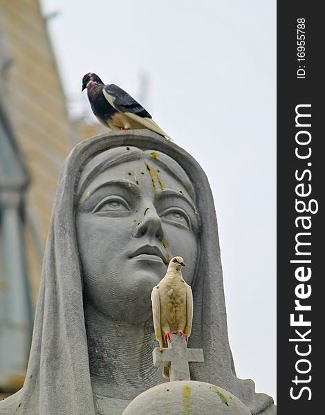Pigeons sitting on Mother Mary's statue. A white pigeon is seen sitting above th cross symbolising peace. Pigeons sitting on Mother Mary's statue. A white pigeon is seen sitting above th cross symbolising peace.