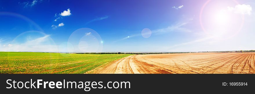 Agricultural fields. Spring sunny landscape. Agricultural fields. Spring sunny landscape