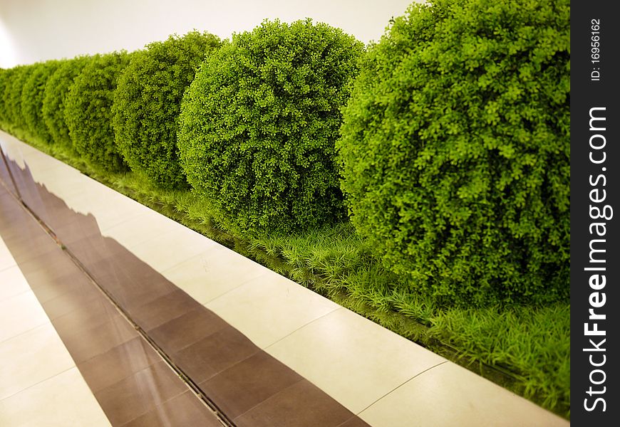 A row of round shaped plants with a modern look. A row of round shaped plants with a modern look.