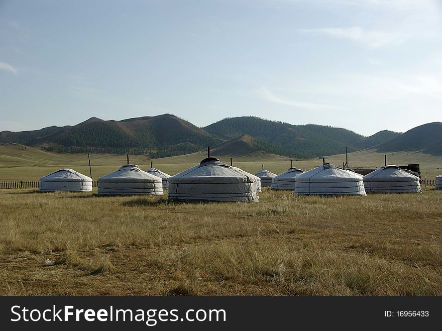 Y tourist yurt camp in Mongolia, Asia