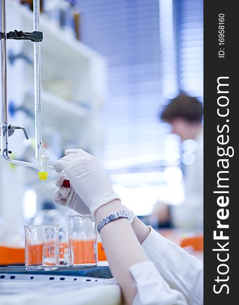 Female researcher carrying out experiments in a laboratory. Female researcher carrying out experiments in a laboratory