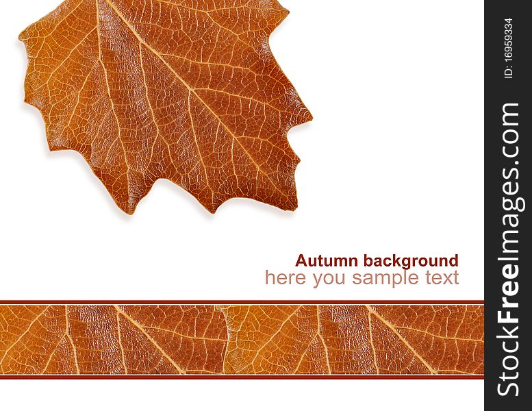 Greeting Card From The Autumn Leaves