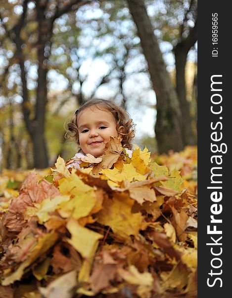 Smiling little girl covered with leaves in the park. Smiling little girl covered with leaves in the park