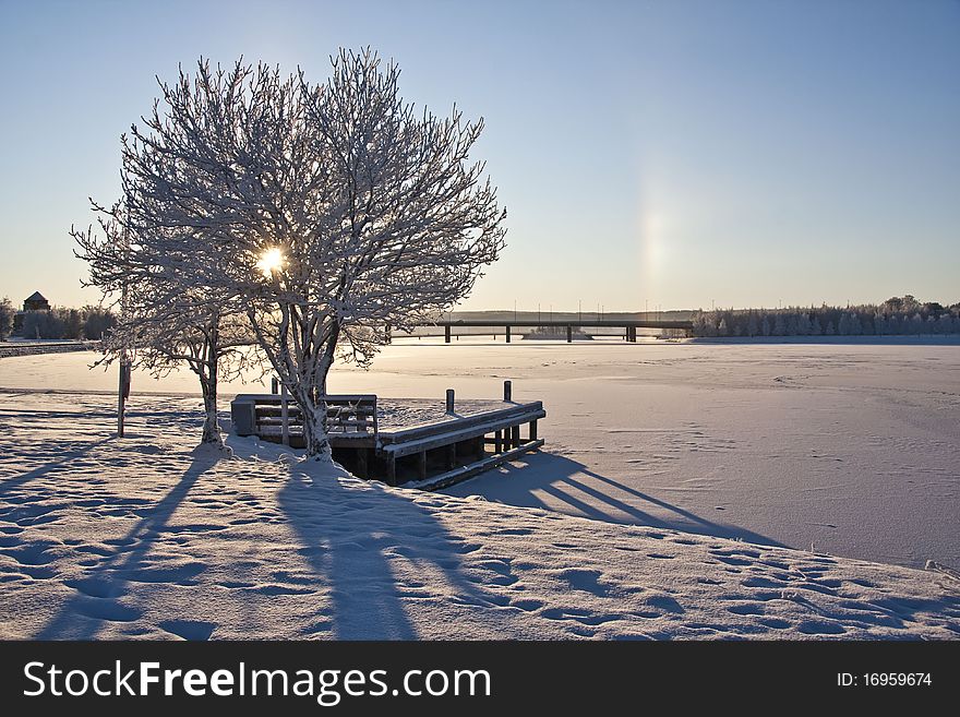 Beautiful winter landscape with snowy trees and sunshine