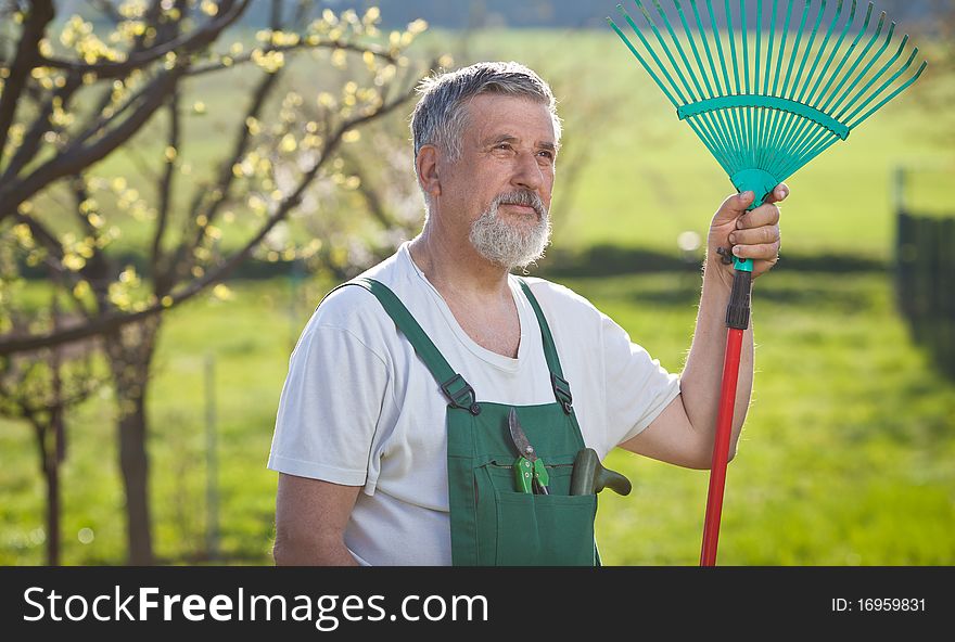 Portrait of a senior man gardening in his garden (color toned image)