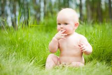 Baby Sitting On Green Grass Royalty Free Stock Photography Baby Sitting On Green Grass Royalty Free Stock Photography