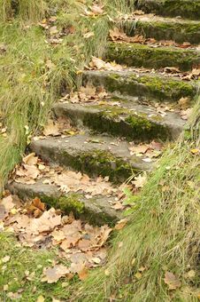 Mossy Staircase With Fallen Maple Leaves Stock Photos Mossy Staircase With Fallen Maple Leaves Stock Photos