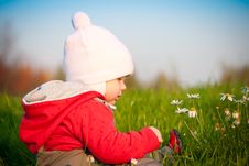 Adorable Baby Sit On Hill And Touch Flowers Stock Images Adorable Baby Sit On Hill And Touch Flowers Stock Images