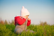 Baby Sit On Top Of Hill And Taste Grass Royalty Free Stock Photo Baby Sit On Top Of Hill And Taste Grass Royalty Free Stock Photo