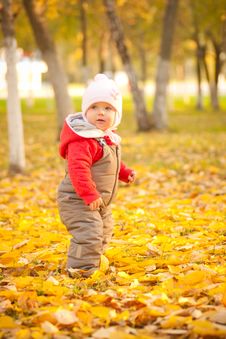 Cute Baby Walking In Park Near Trees Stock Photo Cute Baby Walking In Park Near Trees Stock Photo