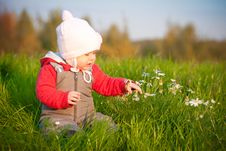 Baby Sit On Top Of Hill And Touch With Flowers Stock Image Baby Sit On Top Of Hill And Touch With Flowers Stock Image