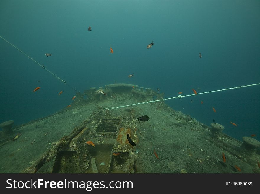 Bow Of The Thistlegorm.