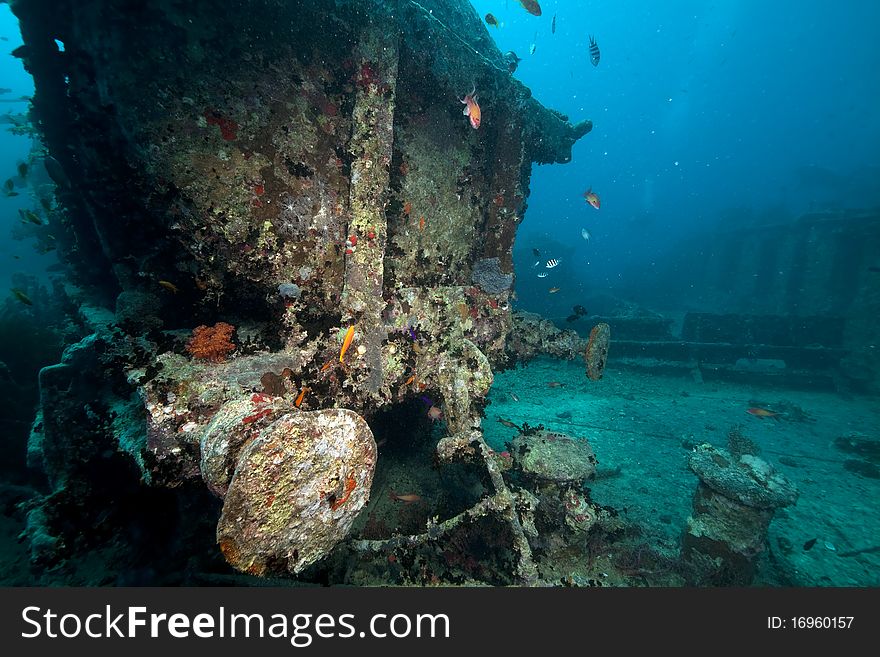 Cargo of the Thistlegorm wreck.