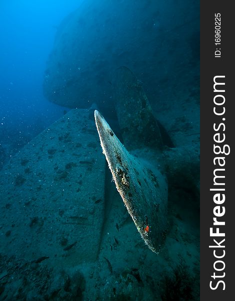 Stern Of The Thistlegorm Wreck.