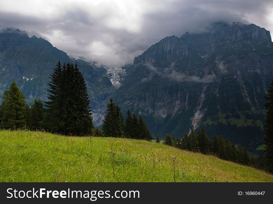 View from the FIRST mountain in Switzerland. View from the FIRST mountain in Switzerland