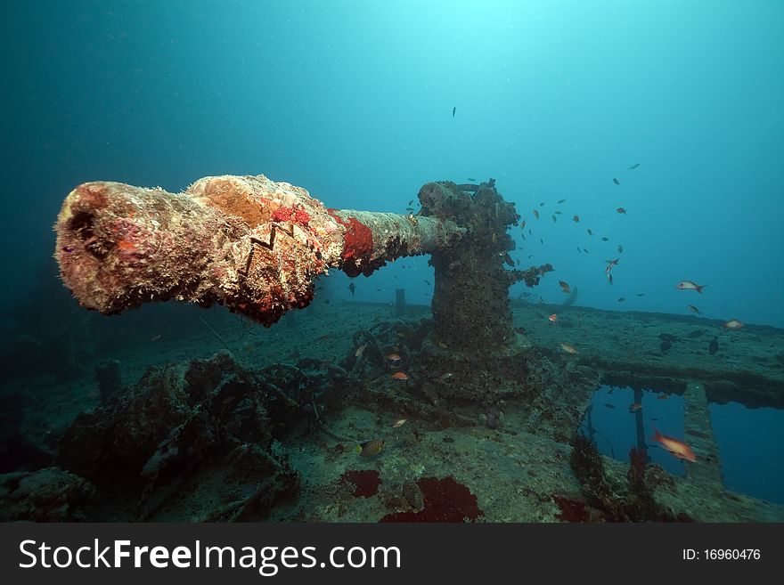 Weapons of the Thistlegorm wreck.