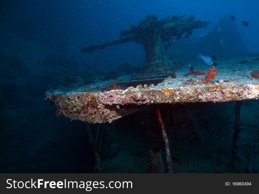 Weapons of the Thistlegorm wreck.