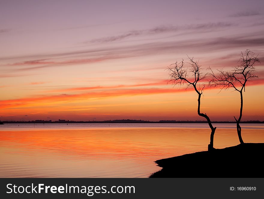 Sunset and a tree by the lake