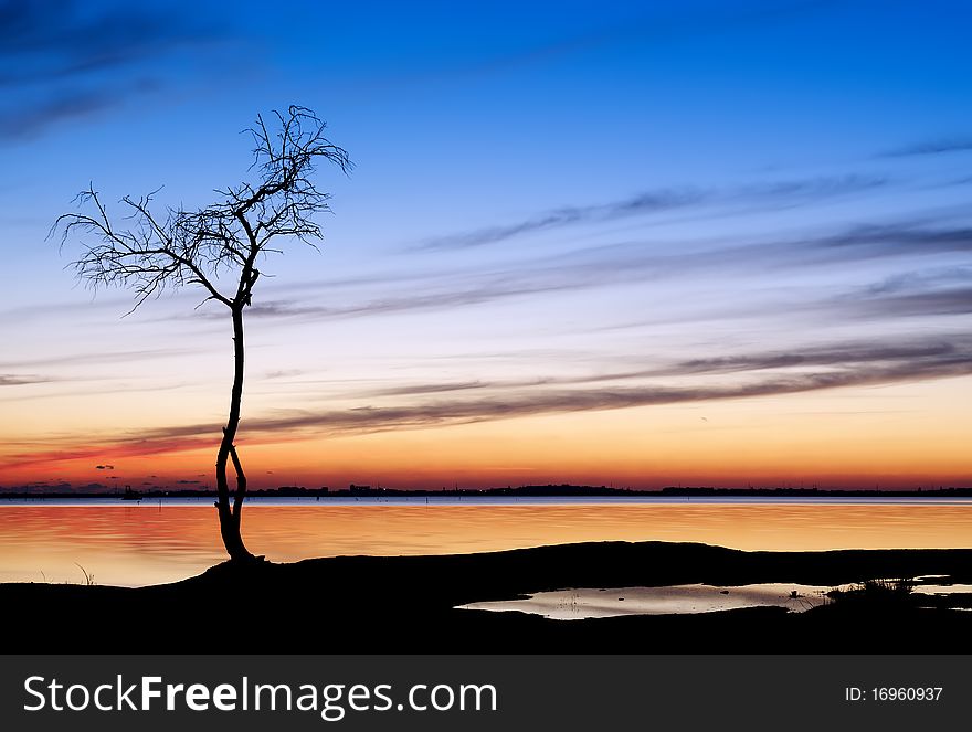 Sunset and a tree by the lake