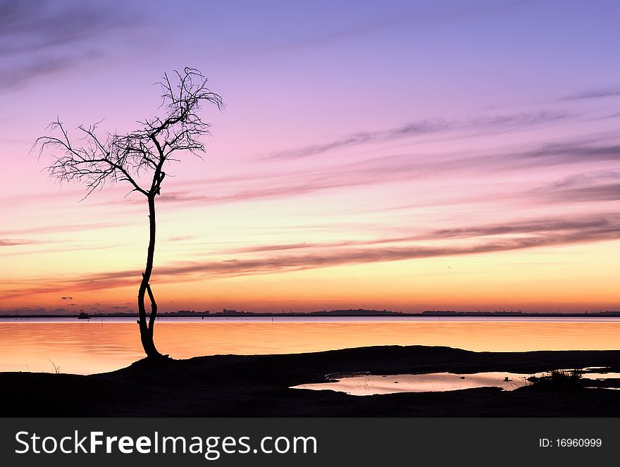 Sunset and a tree by the lake
