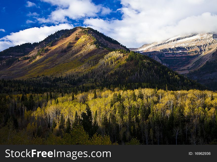 Utah Mountains in the Fall with sunlight striking the tops of the trees