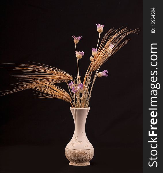 Dry bouquet in a vase on a black background