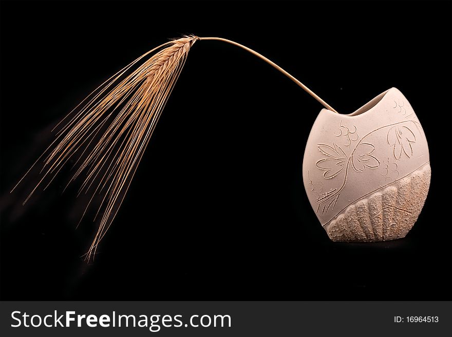 Ears of barley on a black background