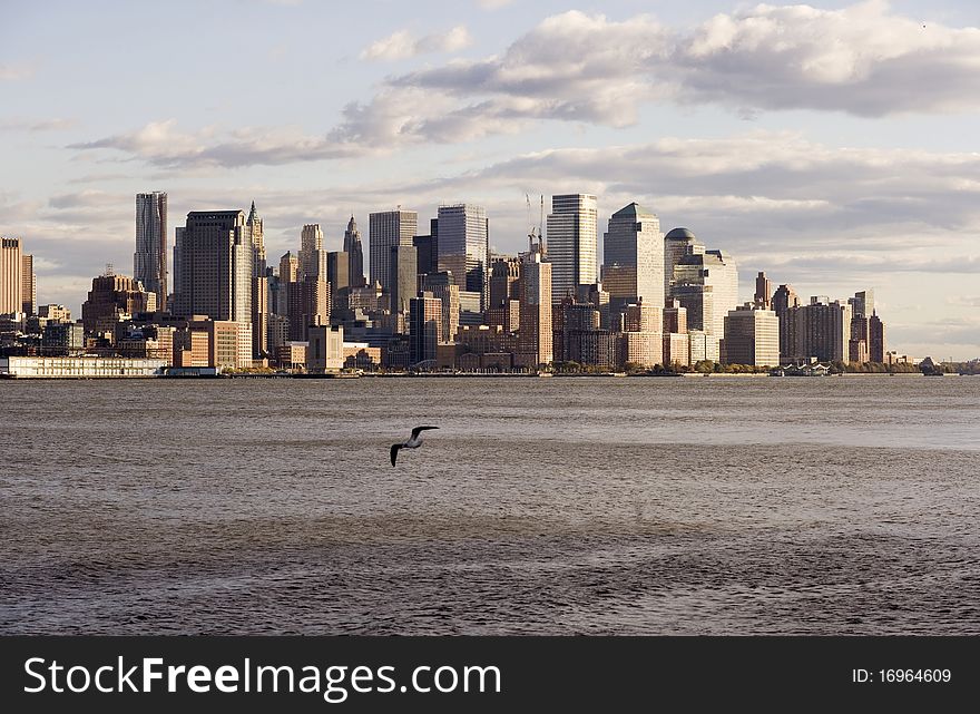 A seagull in the foreground flies over the Hudson River. Downtown New York City is on the far shore of the river. A seagull in the foreground flies over the Hudson River. Downtown New York City is on the far shore of the river.