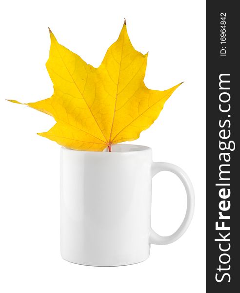 Yellow maple leaf in the cup isolated on a white background