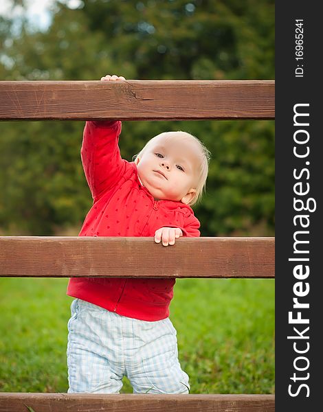 Young adorable baby climbing the wood fence in park