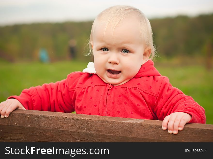 Cheerful Baby Holding Wood Fence