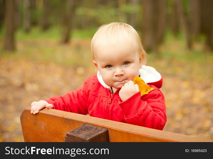 Young cheerful baby stay on wood bench in park forest and play with leaf. Young cheerful baby stay on wood bench in park forest and play with leaf