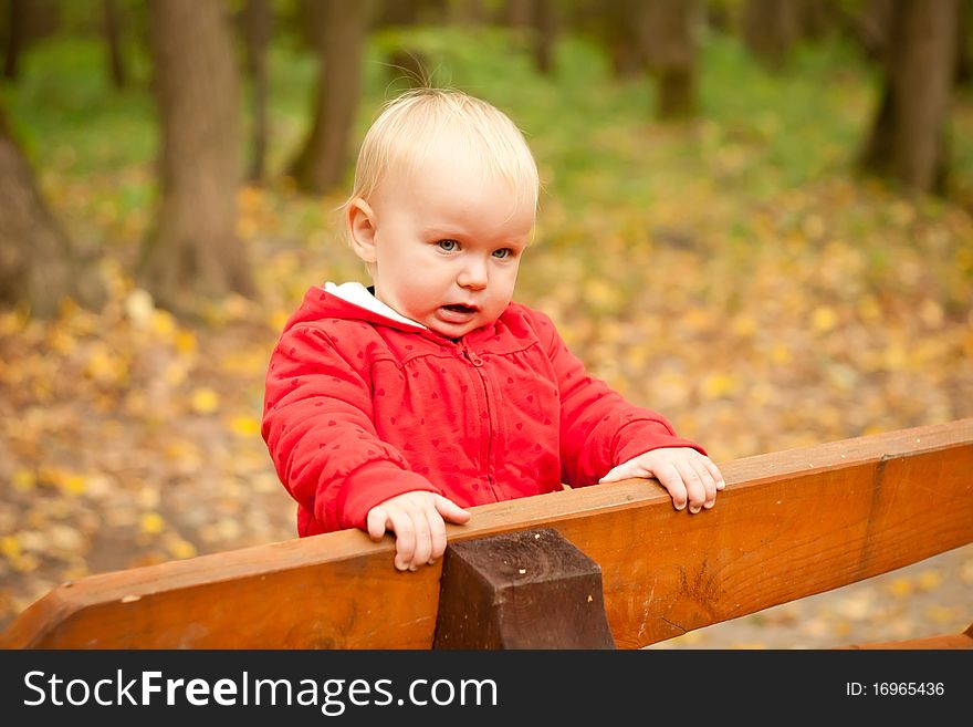 Baby Stay On Wood Bench In Park