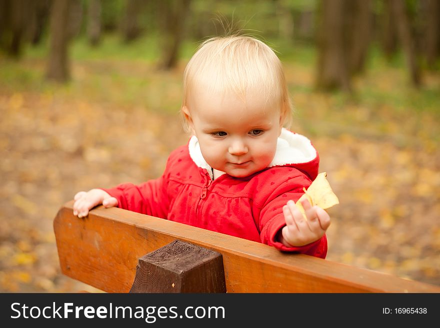 Young cheerful baby stay on wood bench in park forest and play with leaf