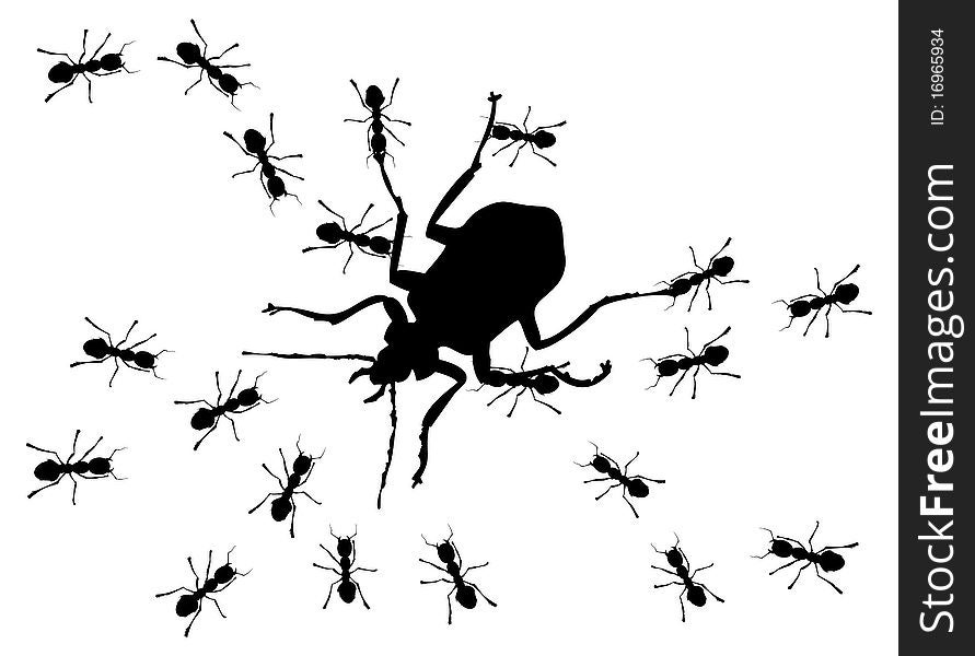 Hunting of ants for the big bug. A illustration